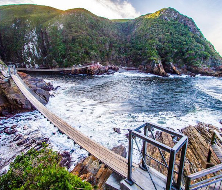 Garden Route Tours